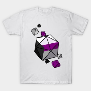 Demi Pride Flag Dice T-Shirt